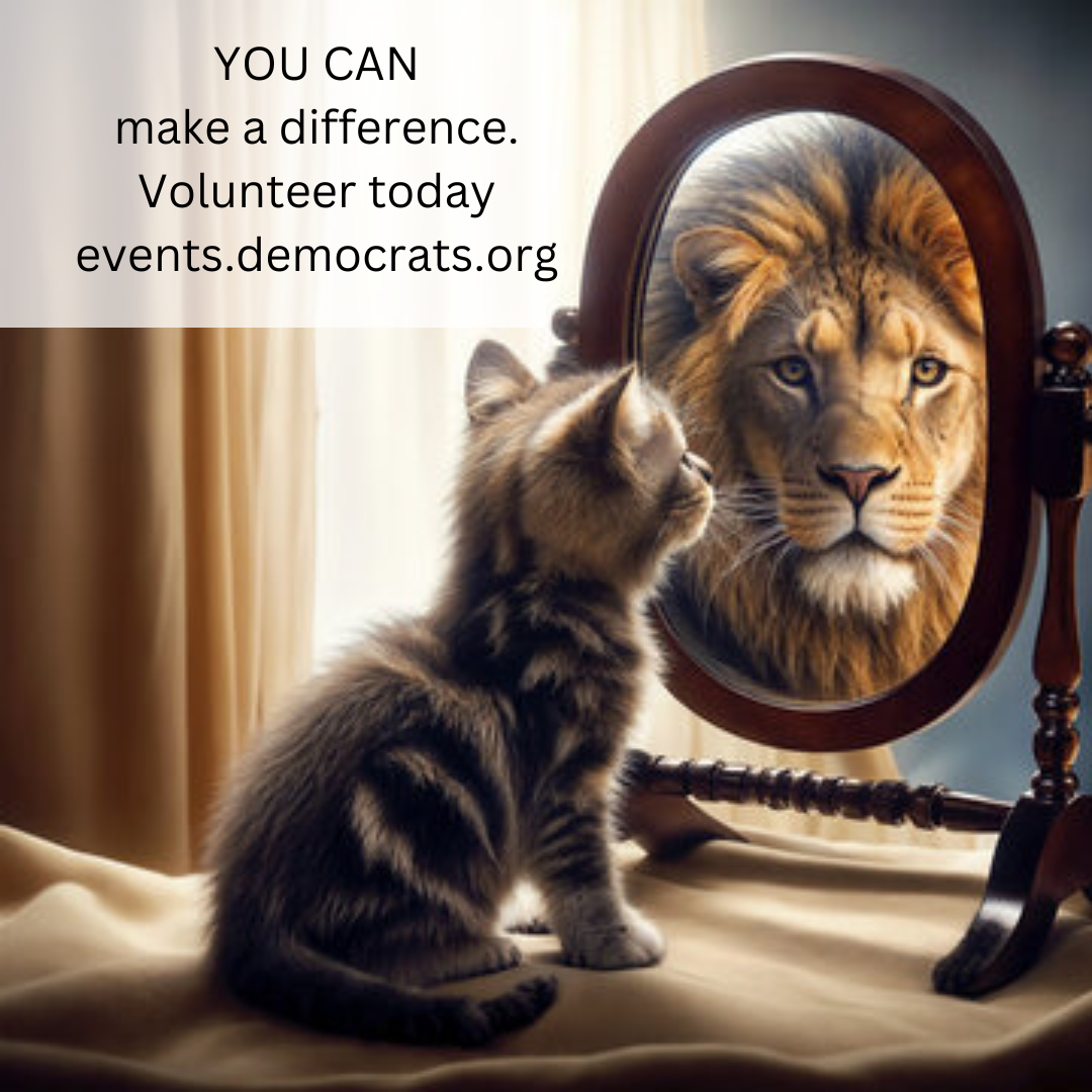 A_few_votes_can_make_the_difference._YOU_can_make_a_difference._Volunteer_today_events.democrats.org.png.png